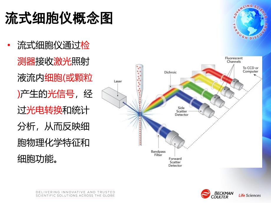 流式细胞仪分选仪工作原理资料_第4页