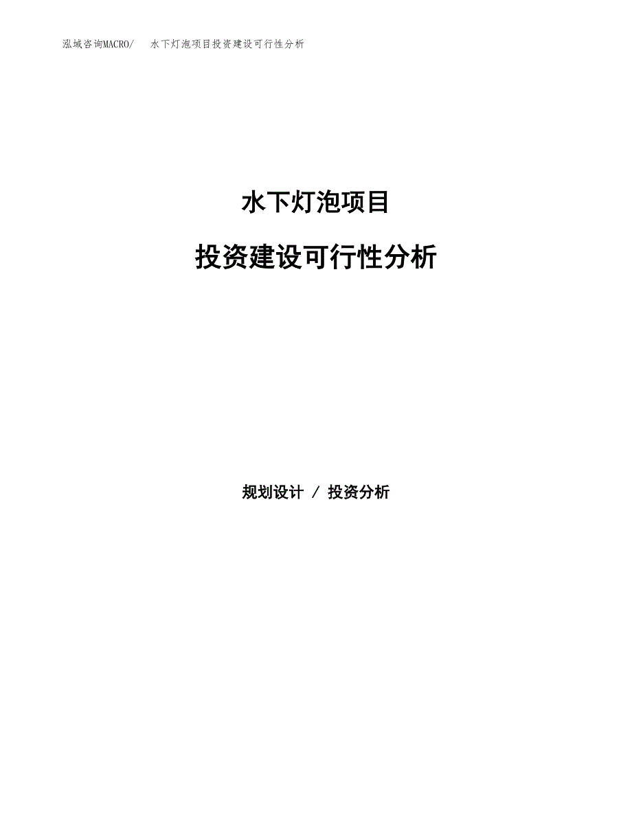 水下灯泡项目投资建设可行性分析.docx_第1页