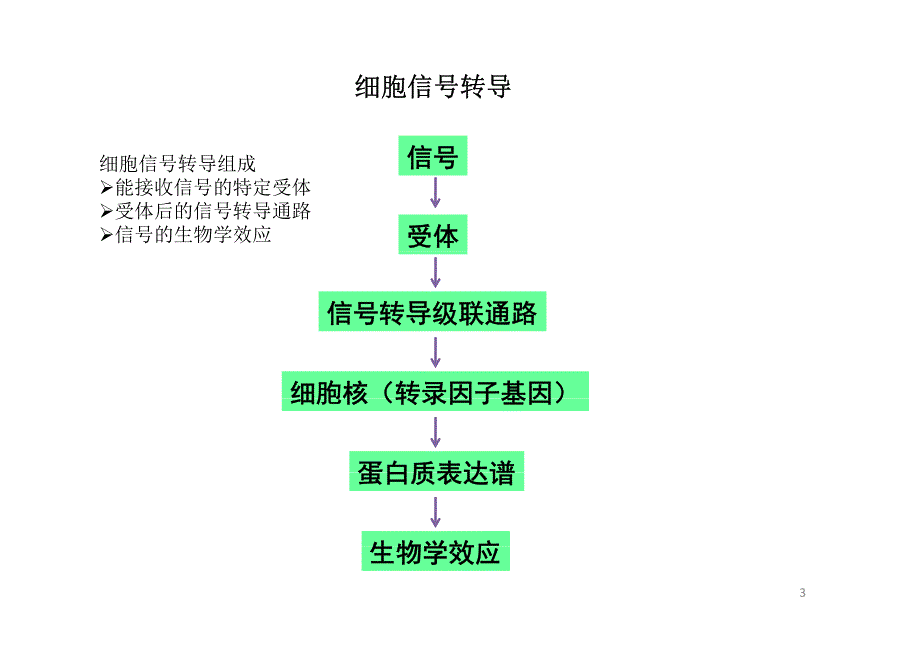 细胞信号转导研究技术资料_第3页