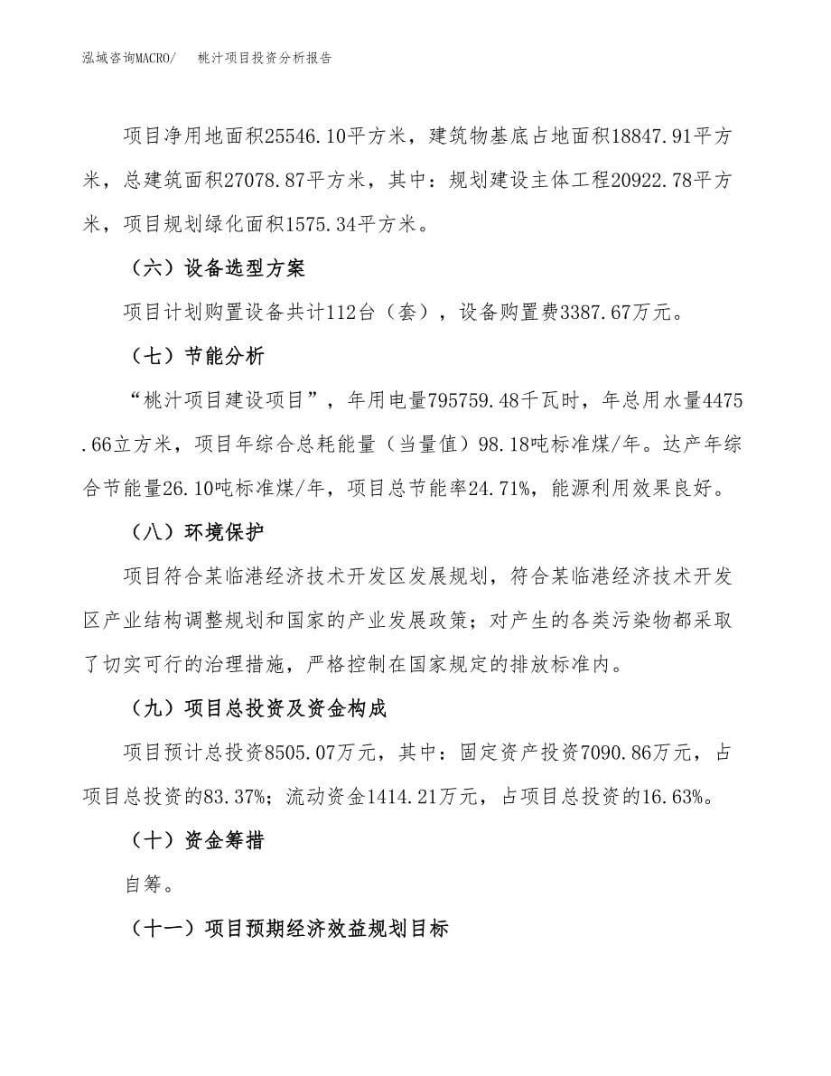 桃汁项目投资分析报告（总投资9000万元）（38亩）_第5页