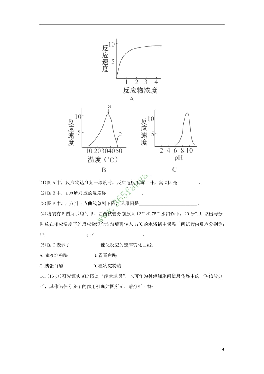 高中生物 第一单元 有机体中的细胞 1.3.2 细胞中的能源物质 酶在代谢中的作用课时提能演练 中图版必修1_第4页