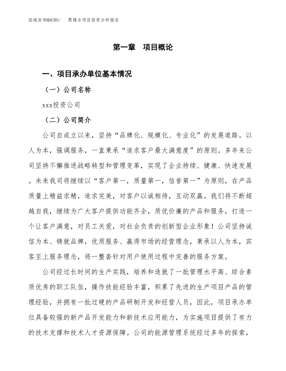 黑镍水项目投资分析报告（总投资17000万元）（81亩）_第2页