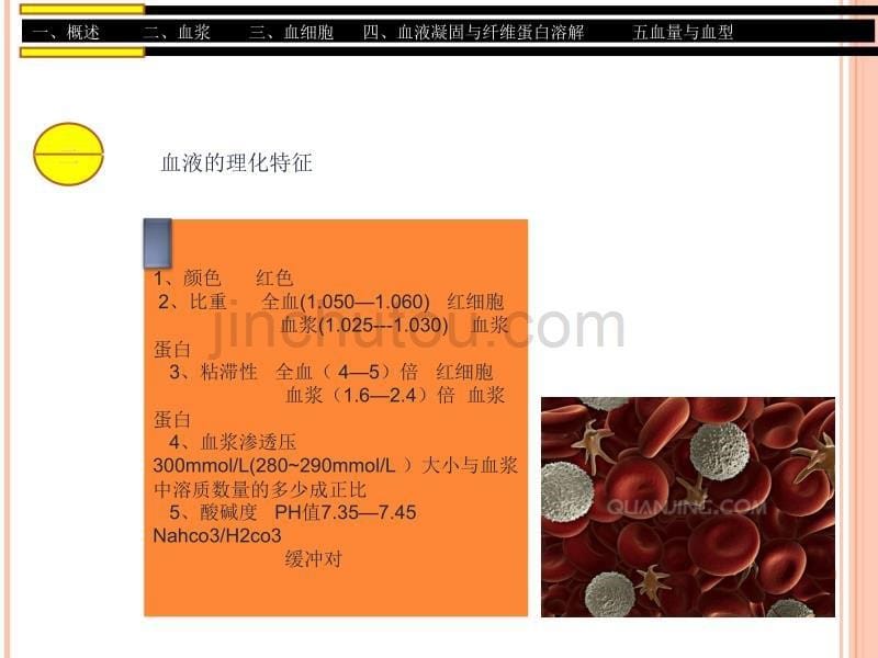 生理学--血液系统(1)._第5页