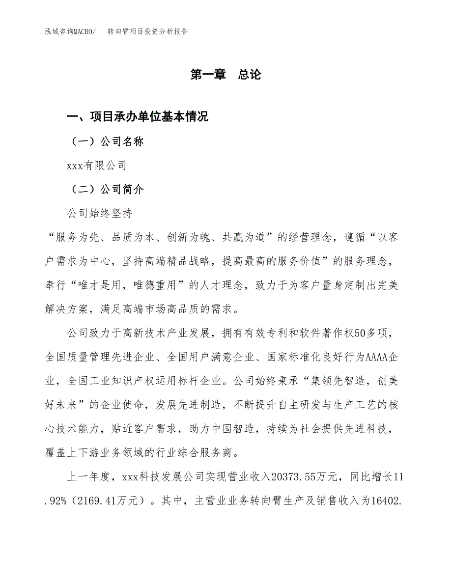 转向臂项目投资分析报告（总投资16000万元）（69亩）_第2页