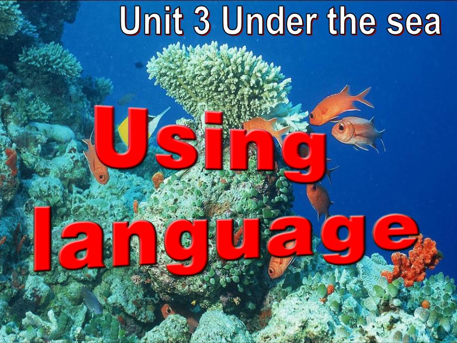 英语选修-unit--Using-Language_第2页