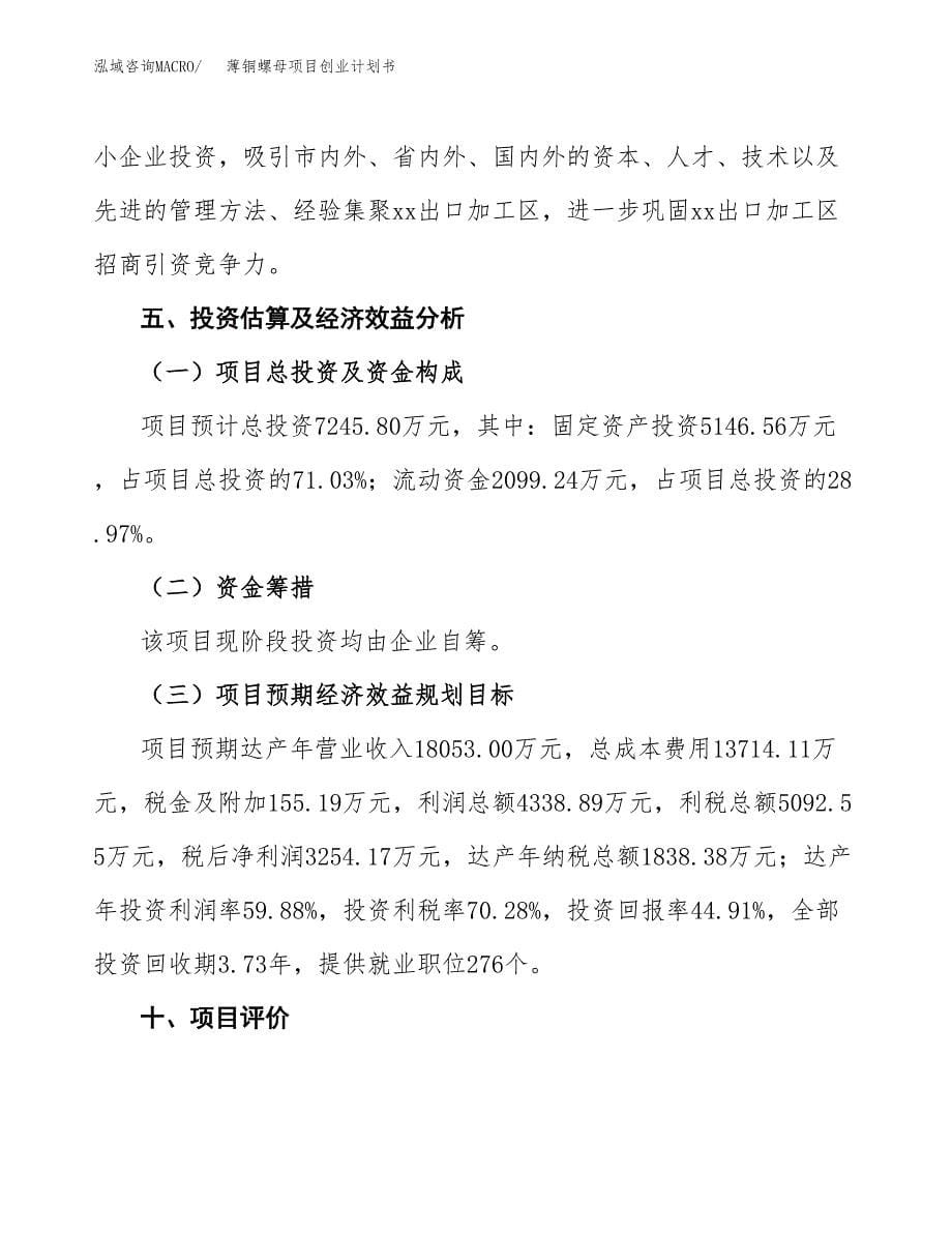 薄铜螺母项目创业计划书(参考模板).docx_第5页