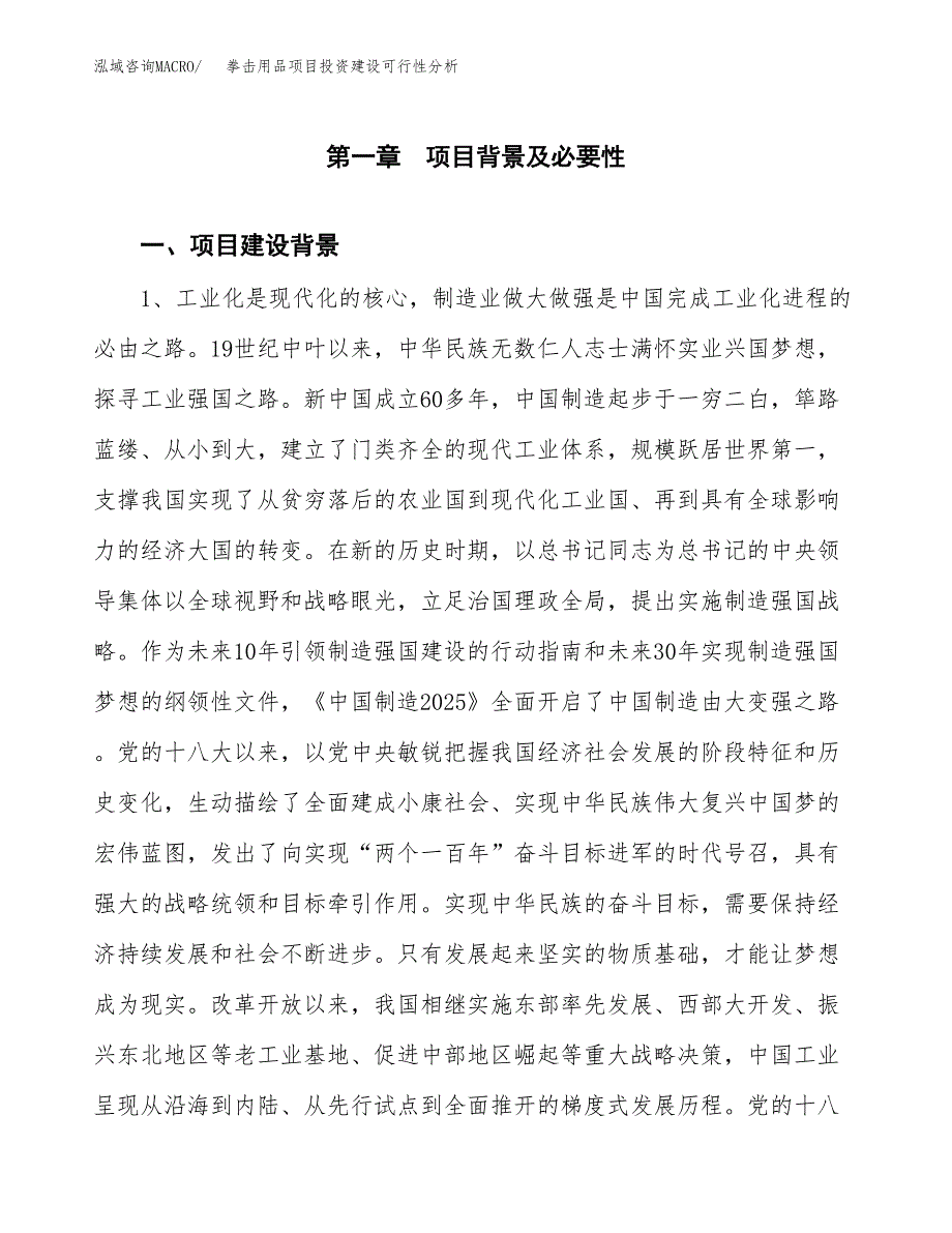 拳击用品项目投资建设可行性分析.docx_第3页