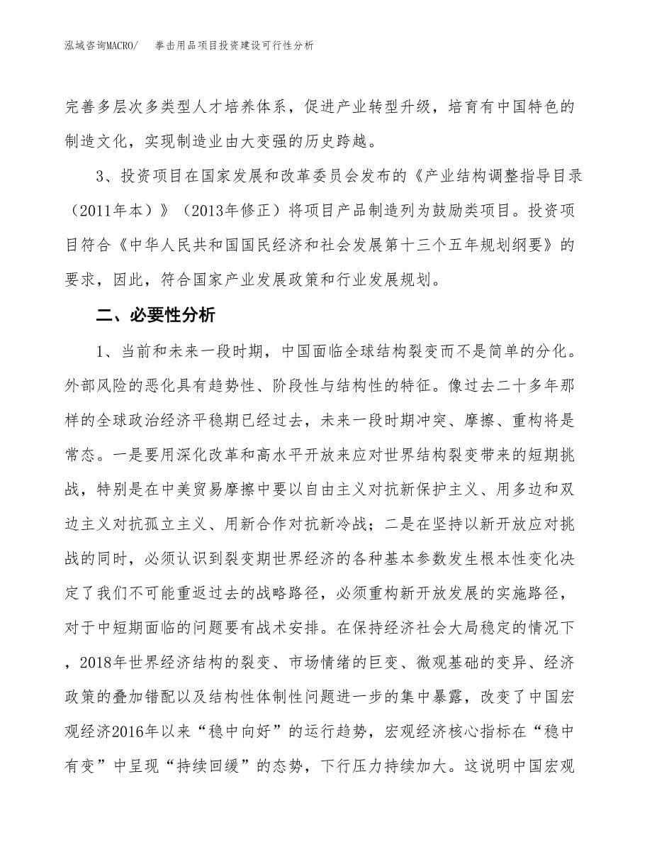 拳击用品项目投资建设可行性分析.docx_第5页