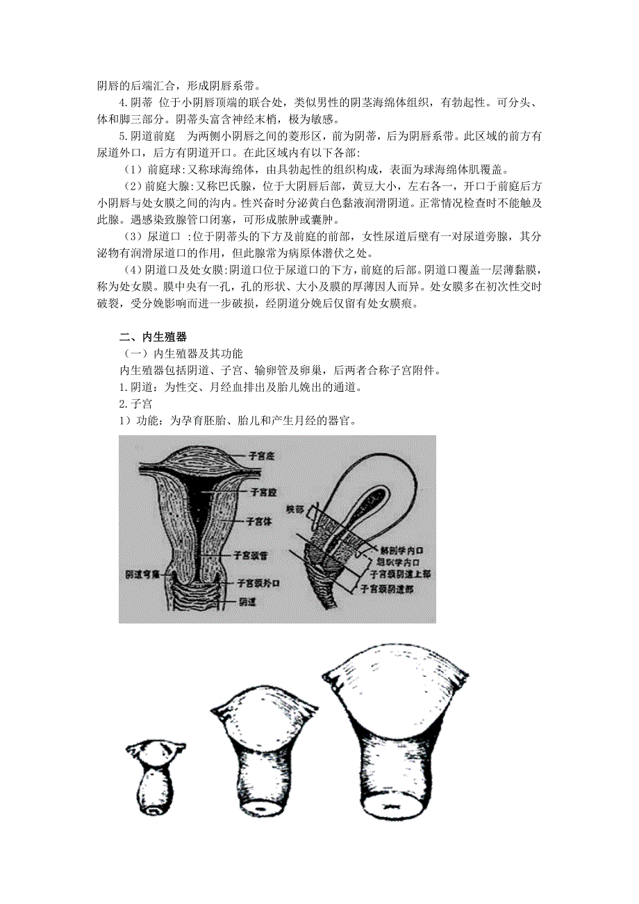 初级护师妇产科精要1讲解_第2页