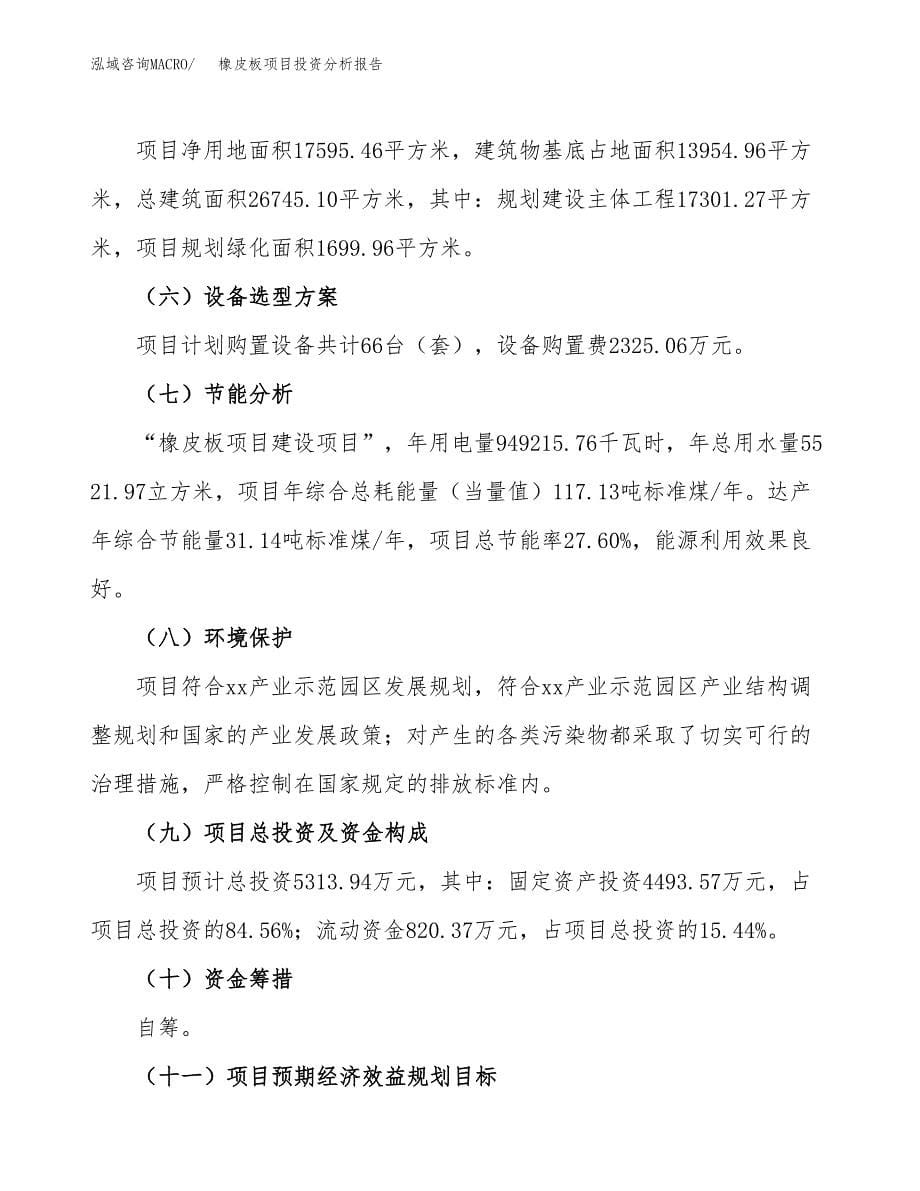 橡皮板项目投资分析报告（总投资5000万元）（26亩）_第5页