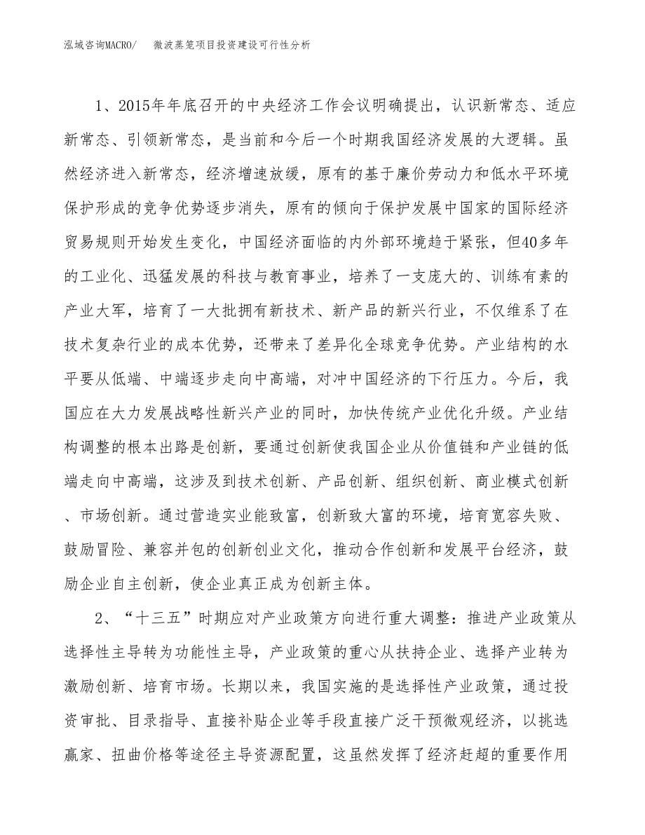 微波蒸笼项目投资建设可行性分析.docx_第5页