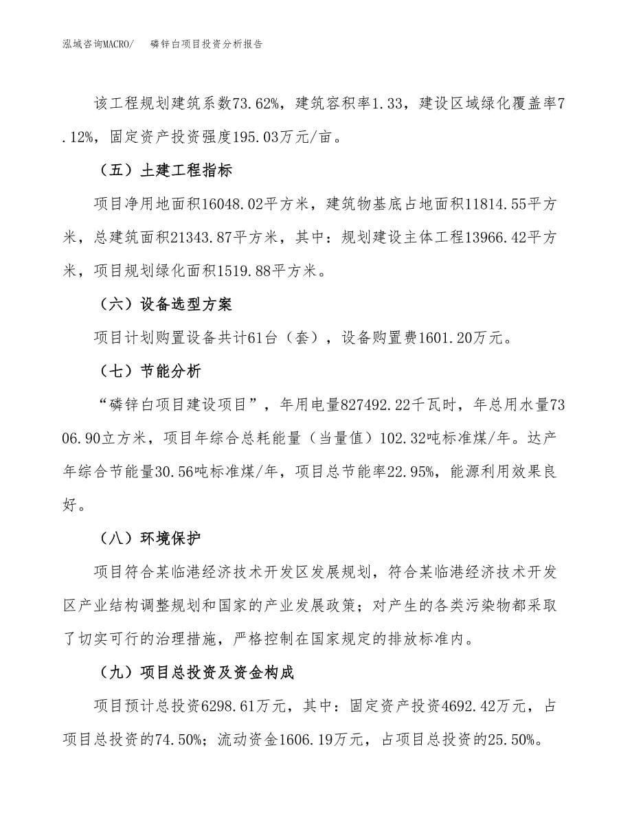 磷锌白项目投资分析报告（总投资6000万元）（24亩）_第5页