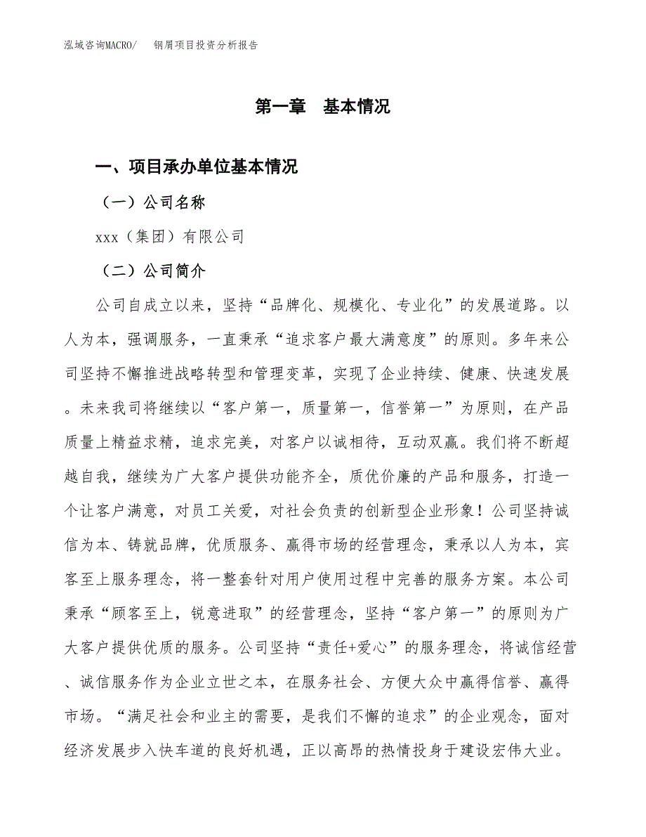 钢屑项目投资分析报告（总投资12000万元）（45亩）_第2页