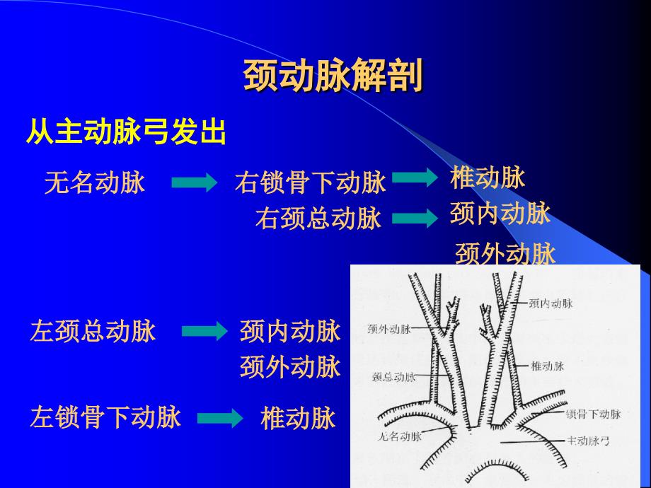 颈脑动脉解剖学基础与超声检测方法_第4页