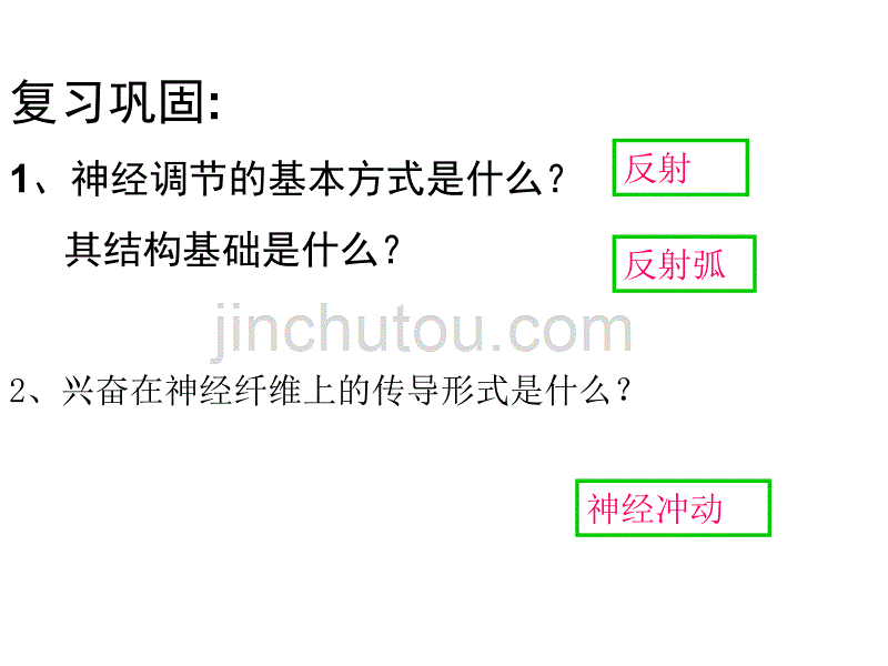 高二生物 通过神经系统调节_第2页