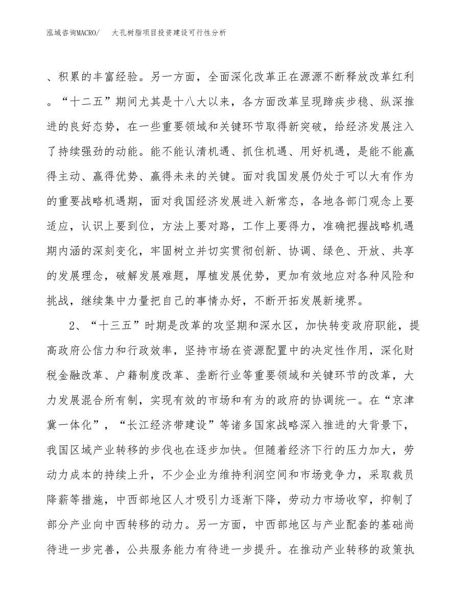 大孔树脂项目投资建设可行性分析.docx_第5页