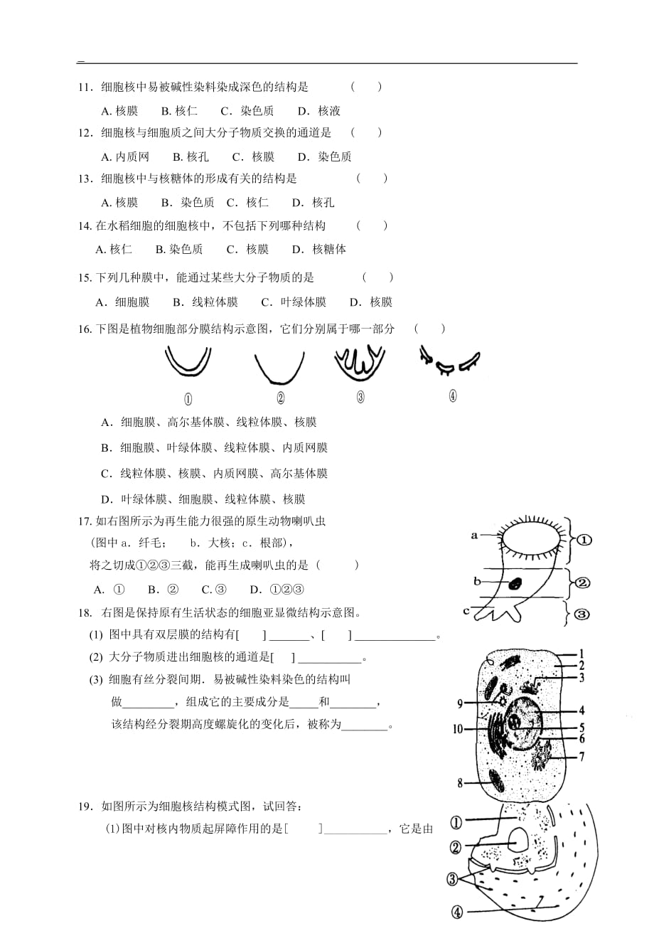 细胞核-系统的控制中心导学案资料_第3页