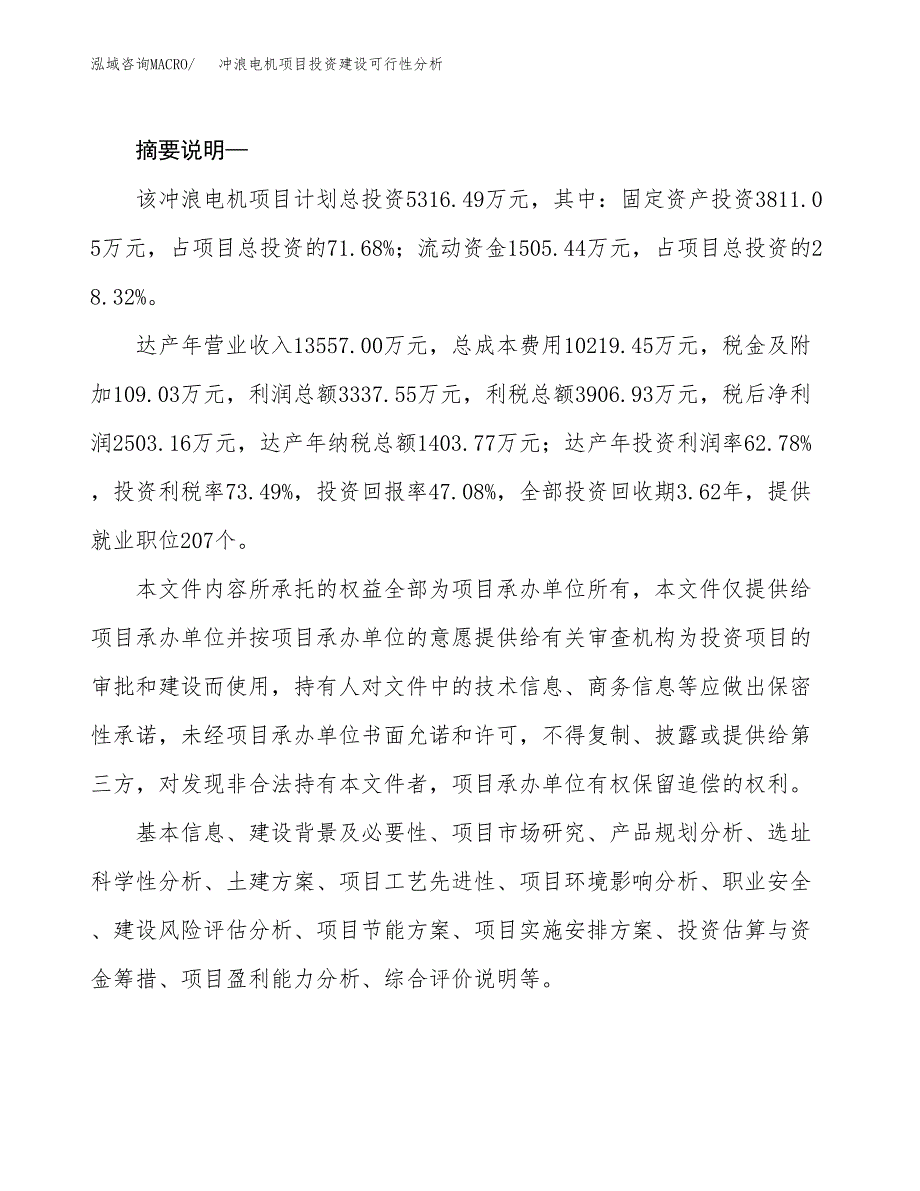 冲浪电机项目投资建设可行性分析.docx_第2页