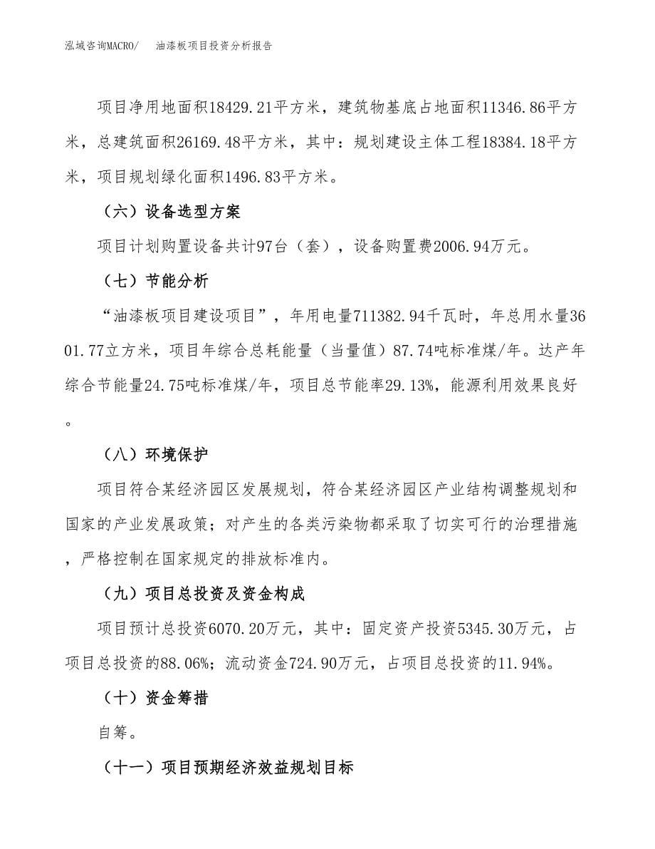 油漆板项目投资分析报告（总投资6000万元）（28亩）_第5页