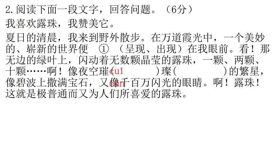 徐州市12-13九年级语文期末试题精要_第2页