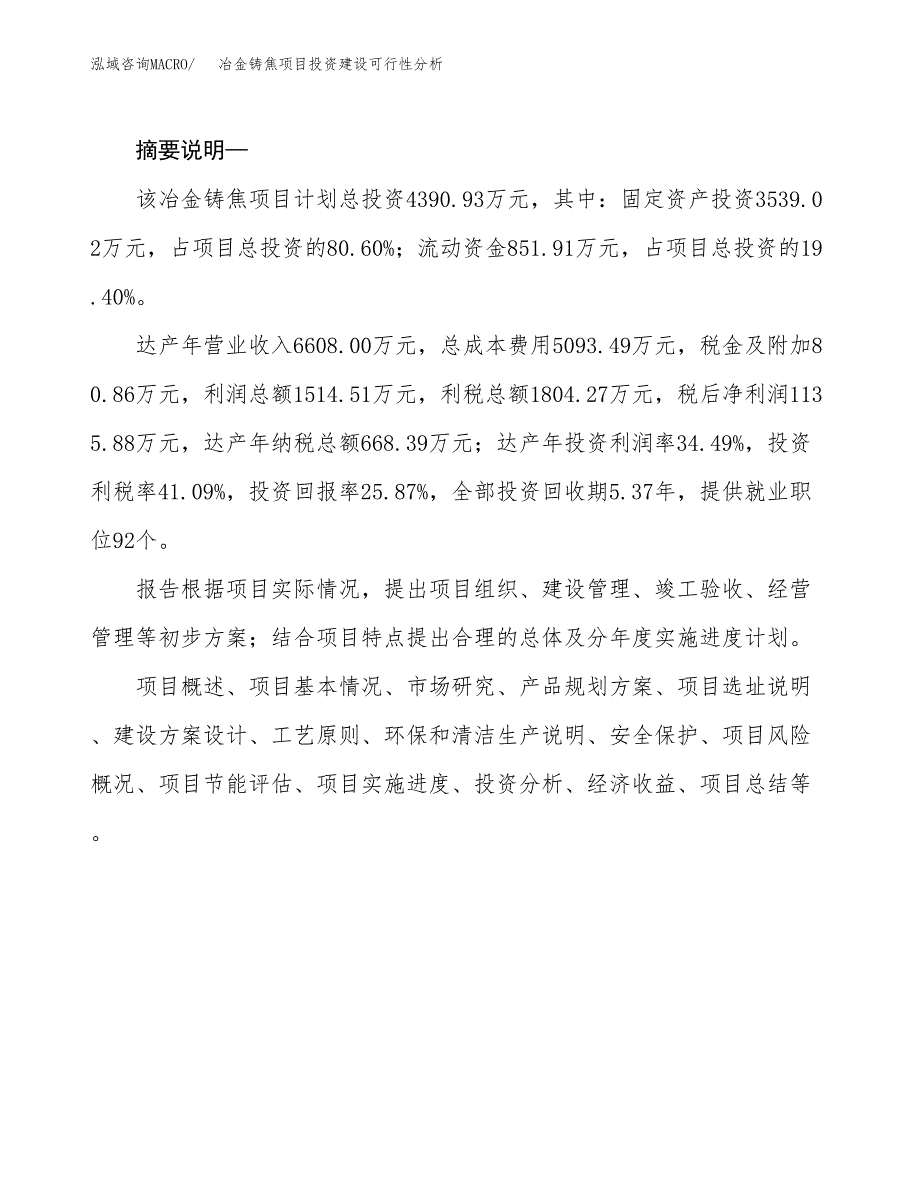 冶金铸焦项目投资建设可行性分析.docx_第2页