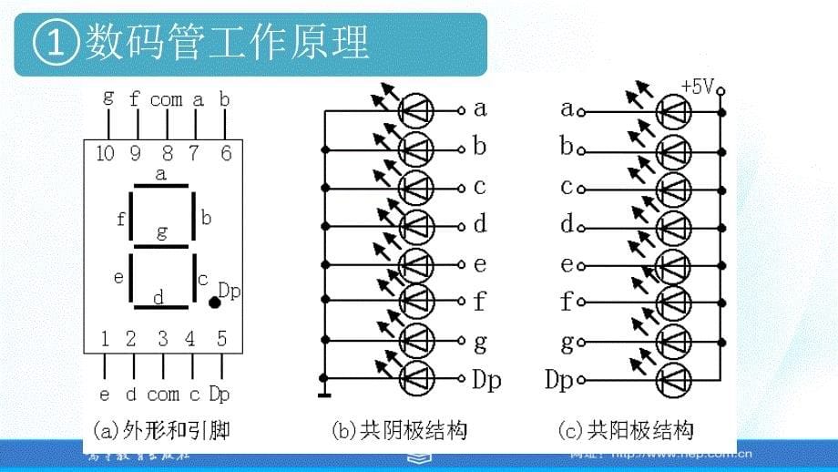 任务一数码管显示器数字显示课案_第5页