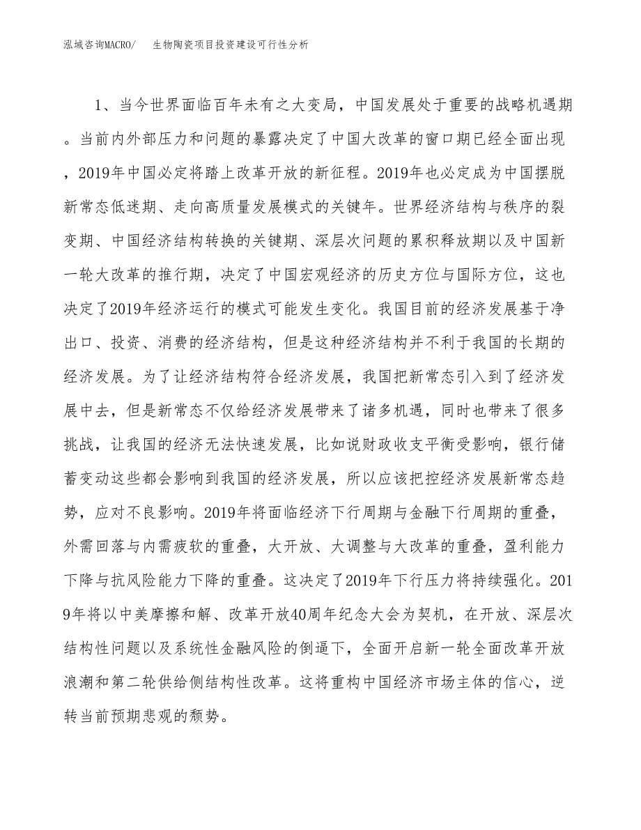 生物陶瓷项目投资建设可行性分析.docx_第5页