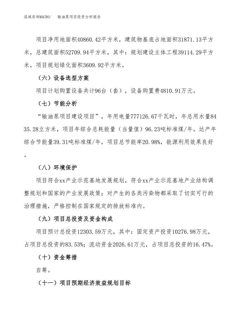 输油泵项目投资分析报告（总投资12000万元）（61亩）_第5页