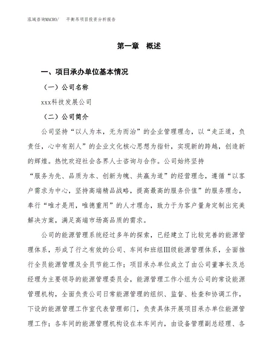 平衡吊项目投资分析报告（总投资18000万元）（82亩）_第2页