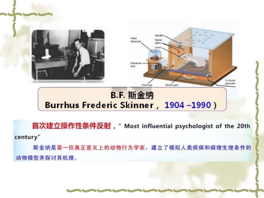 神经行为学检测方法资料_第4页