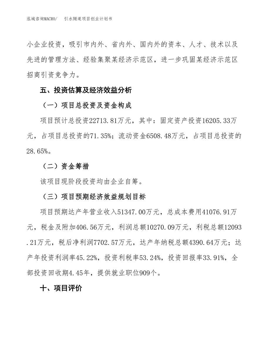 引水隧道项目创业计划书.docx_第5页