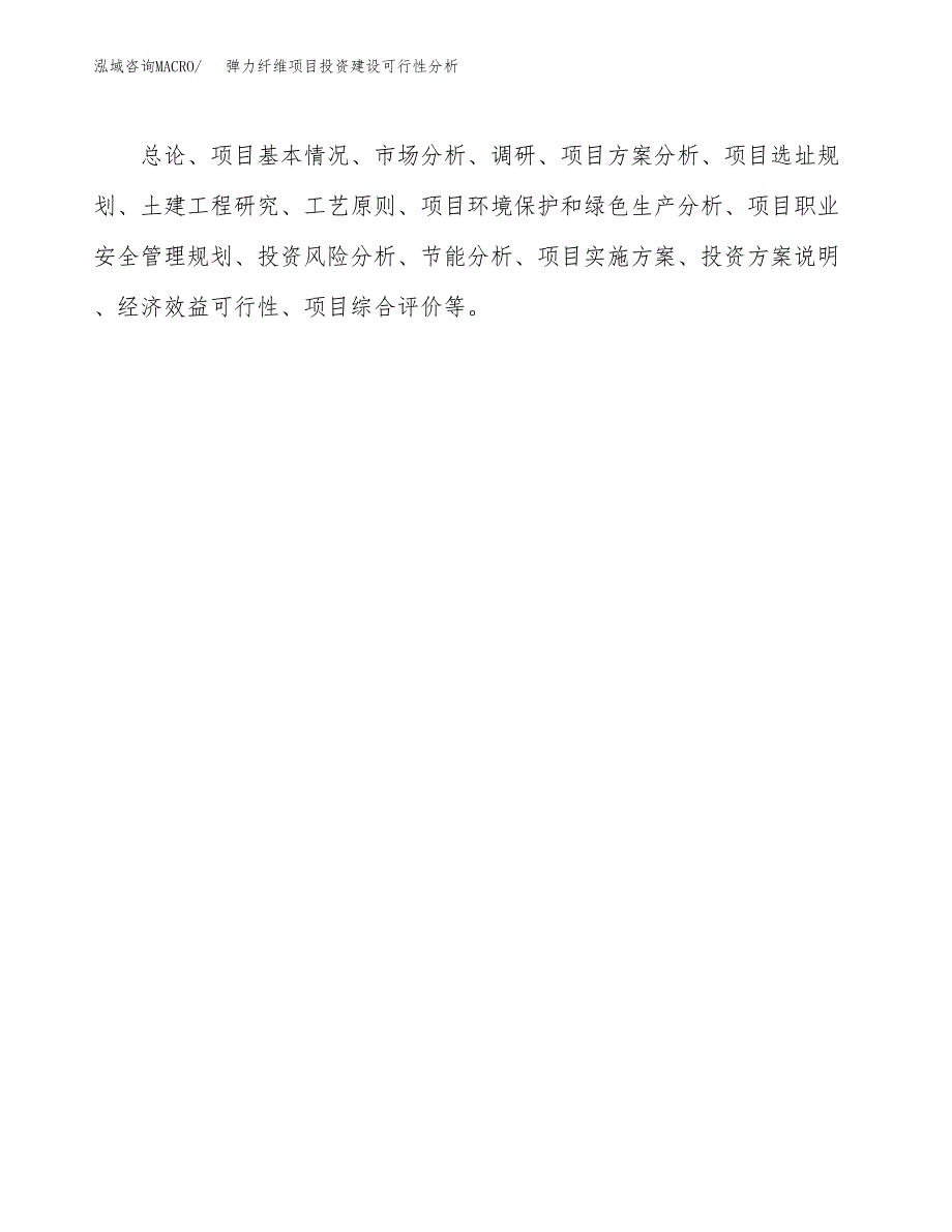 弹力纤维项目投资建设可行性分析.docx_第3页