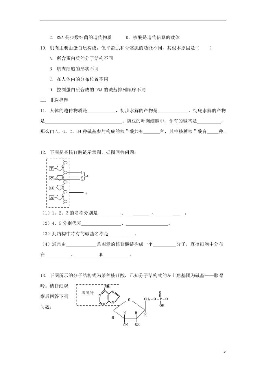 高中生物 第二章 组成细胞的分子 2.3 遗传信息的携带者-核酸学案2 新人教版必修1_第5页