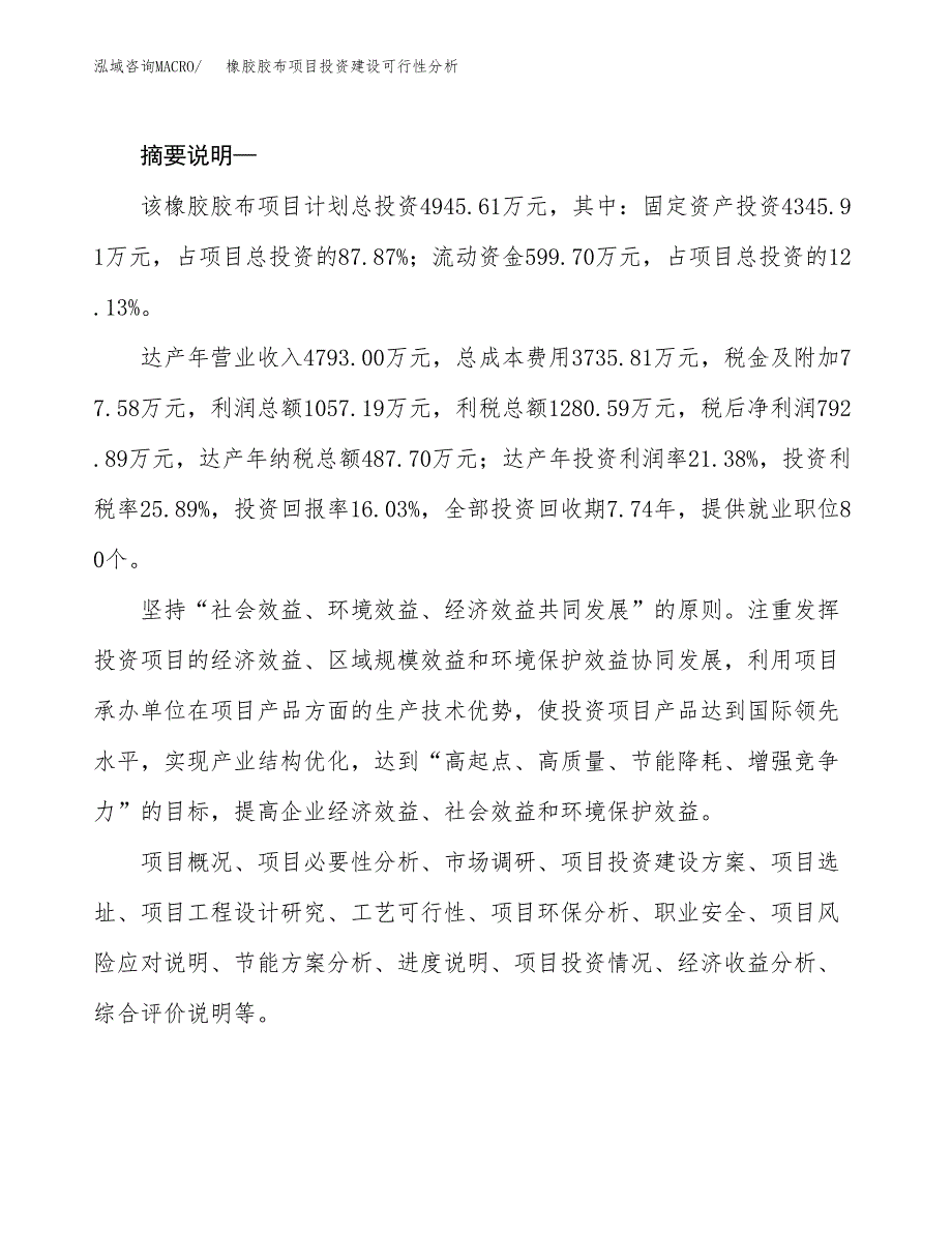 橡胶胶布项目投资建设可行性分析.docx_第2页