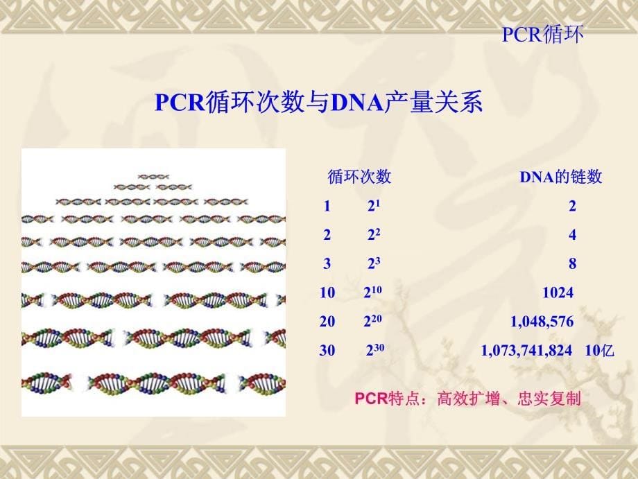 荧光定量PCR技术在临床检测中应用(中山大学)_第5页