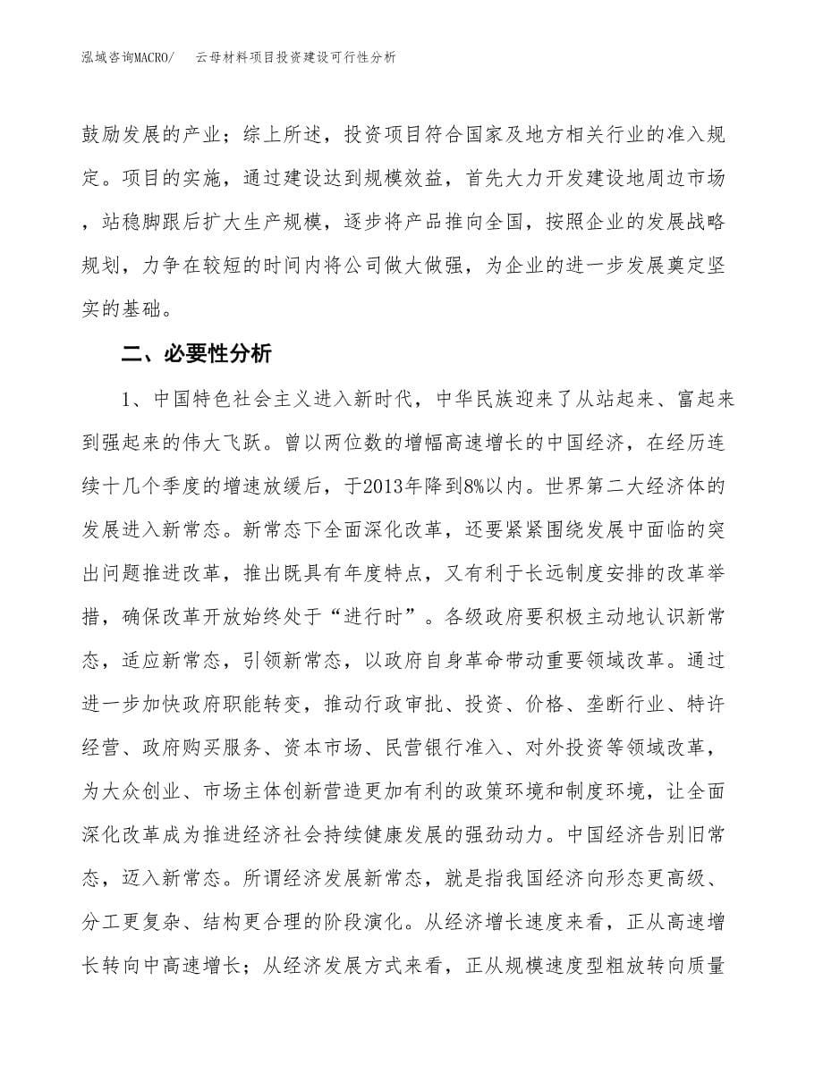 云母材料项目投资建设可行性分析.docx_第5页