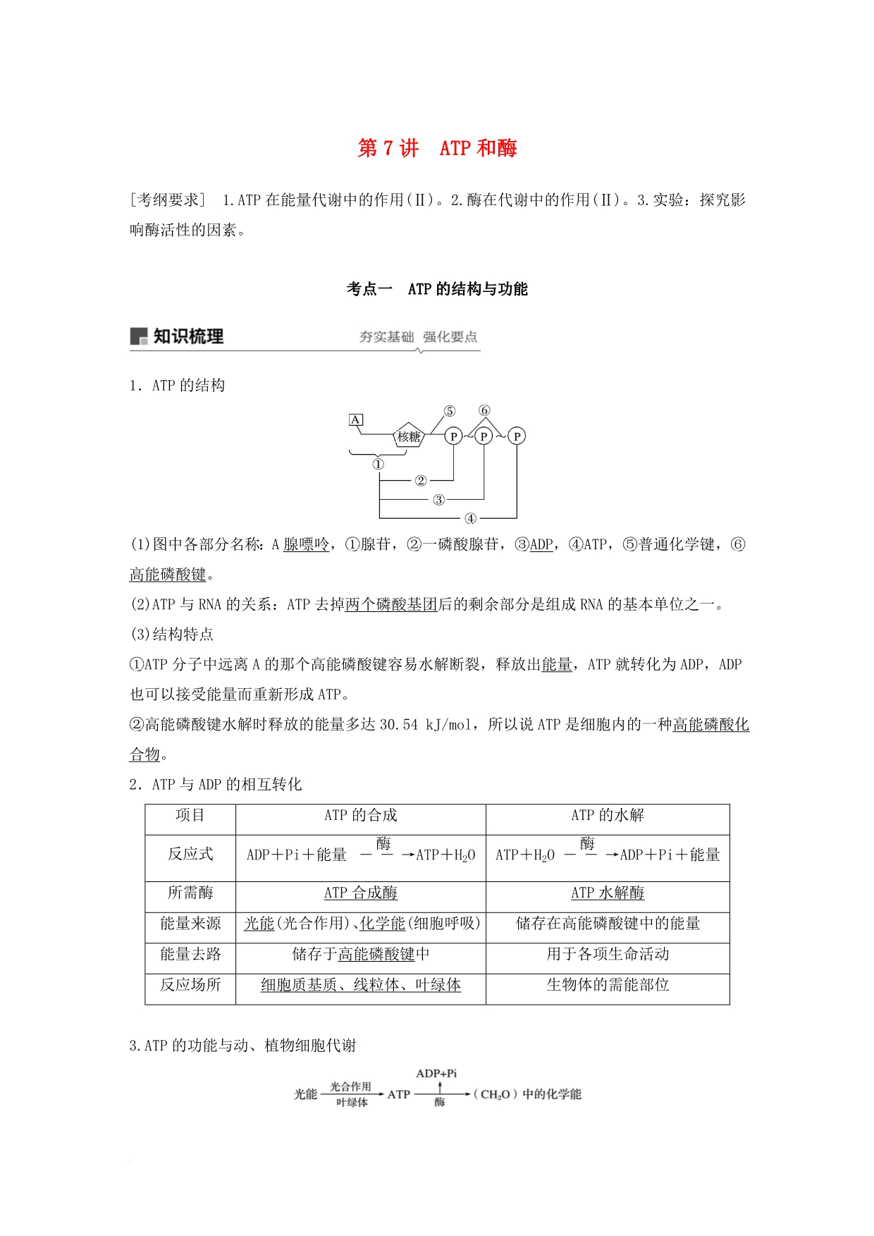 （人教通用）2020版高考生物大一轮复习 第三单元 细胞的能量供应和利用 第7讲 ATP和酶讲义_第1页