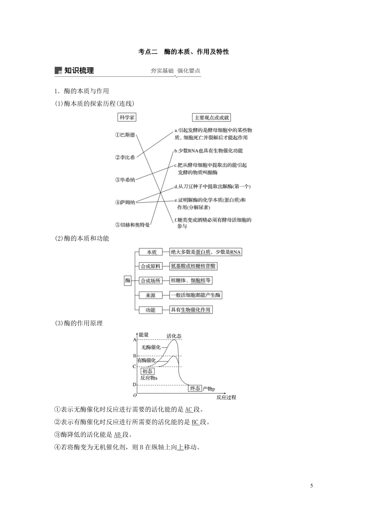 （人教通用）2020版高考生物大一轮复习 第三单元 细胞的能量供应和利用 第7讲 ATP和酶讲义_第5页