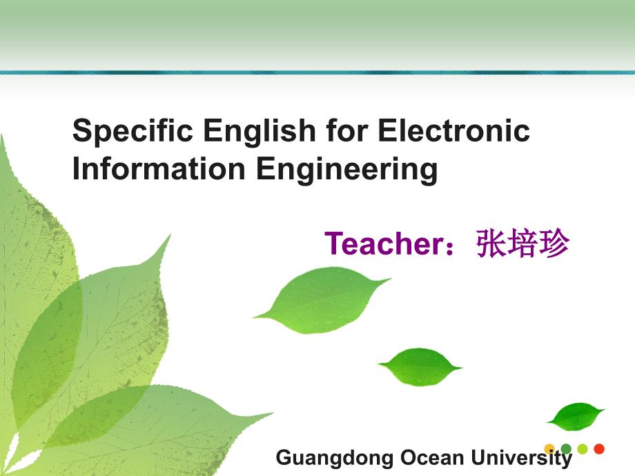 广东海洋大学电子信息工程专业英语(数字信号处理)讲述_第1页