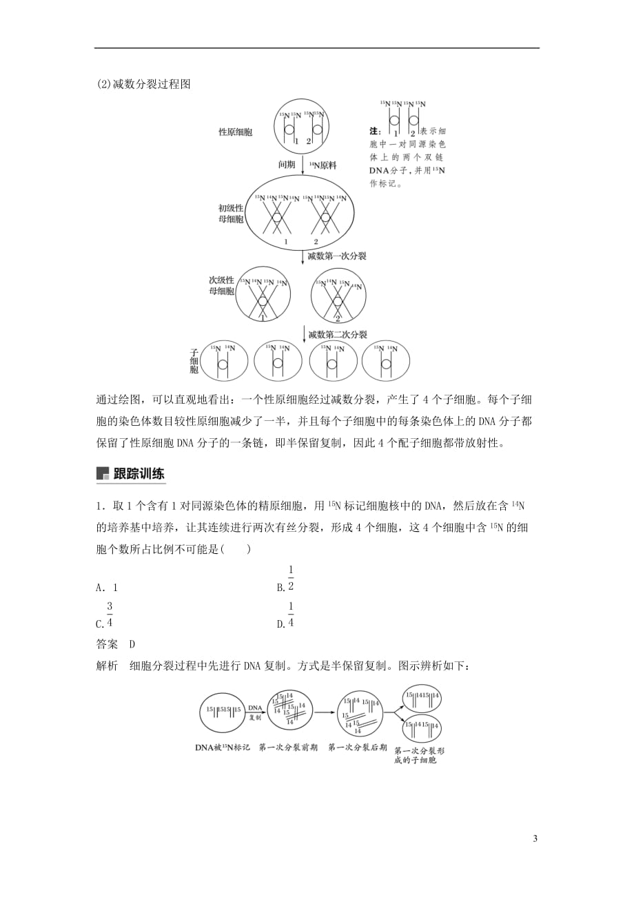 （全国通用版）2019高考生物二轮复习 专题四 遗传的分子基础、变异与进化 小专题4 同位素标记法与DNA的半保留复制学案_第3页