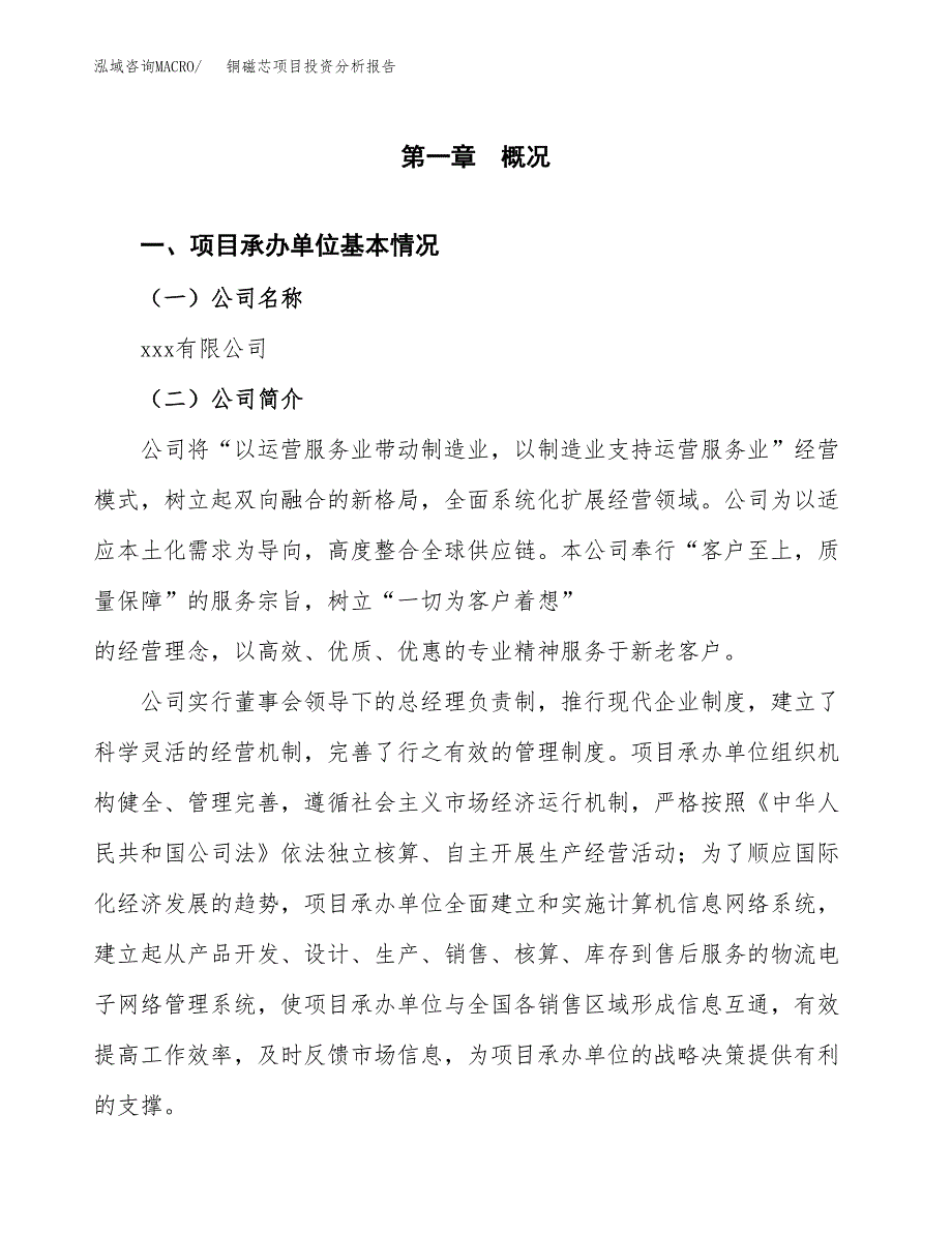 铜磁芯项目投资分析报告（总投资9000万元）（42亩）_第2页