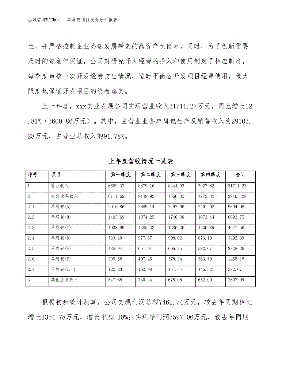 单肩包项目投资分析报告（总投资17000万元）（68亩）_第3页