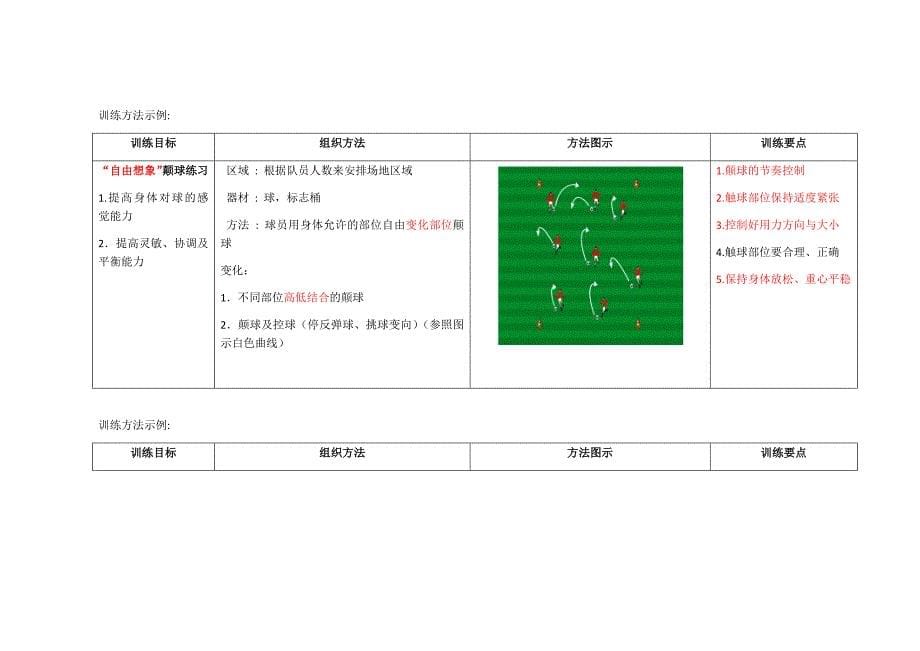 小学水平二足球训练方法和考核目标精要_第5页