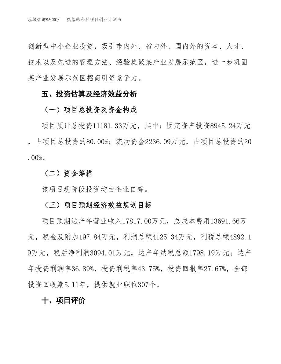 热熔粘合衬项目创业计划书.docx_第5页