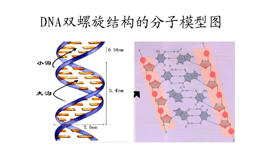 PCR检测技术分析前质量控制_第3页