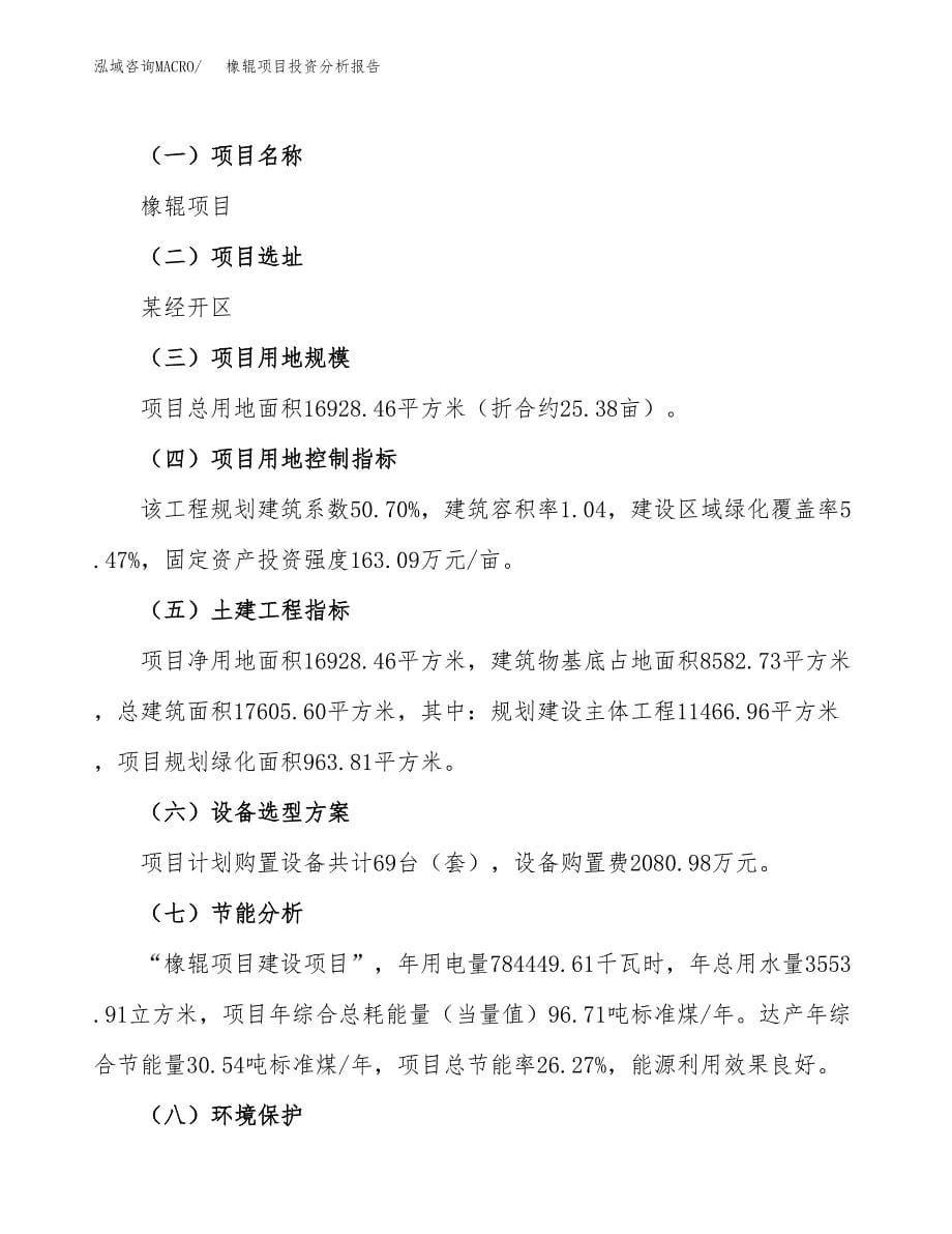 橡辊项目投资分析报告（总投资5000万元）（25亩）_第5页