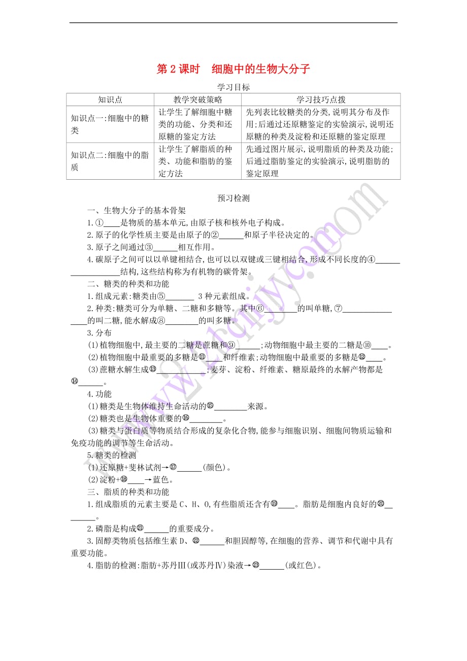 高中生物 第二单元 细胞中的生物大分子（第2课时）导学案 苏教版必修1_第1页