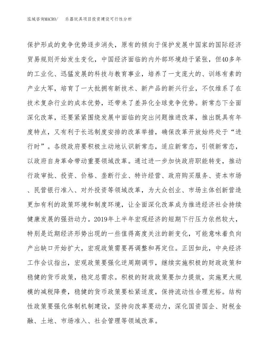 乐器玩具项目投资建设可行性分析.docx_第5页