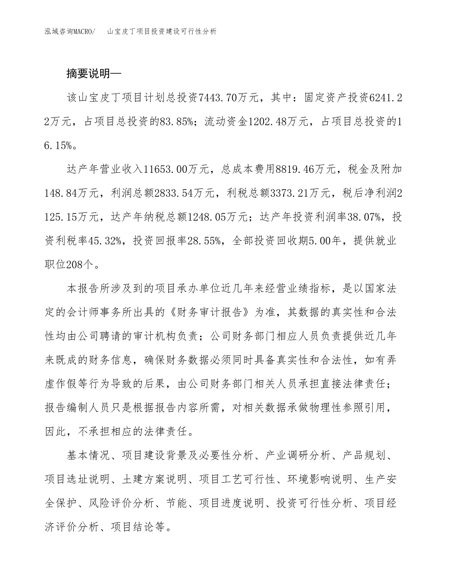 山宝皮丁项目投资建设可行性分析.docx_第2页