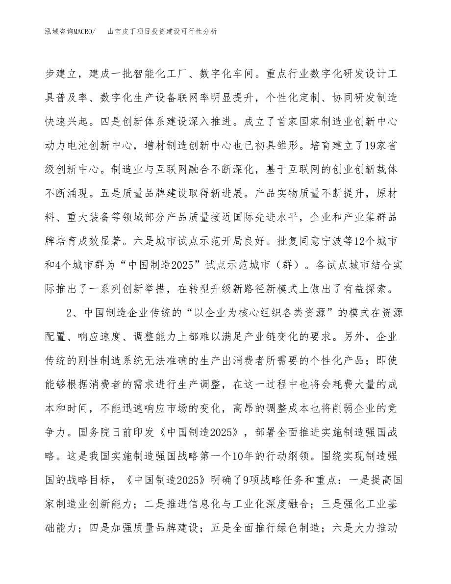 山宝皮丁项目投资建设可行性分析.docx_第5页